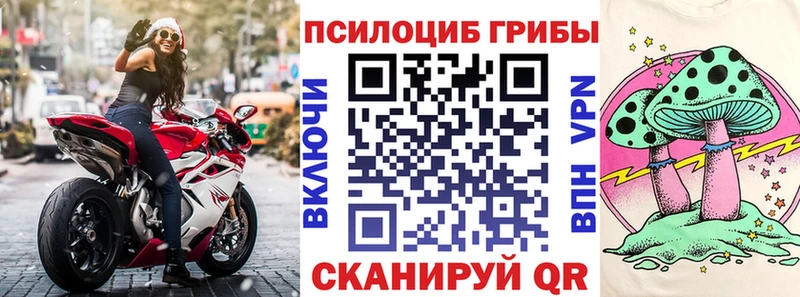 Галлюциногенные грибы MAGIC MUSHROOMS  Пустошка 